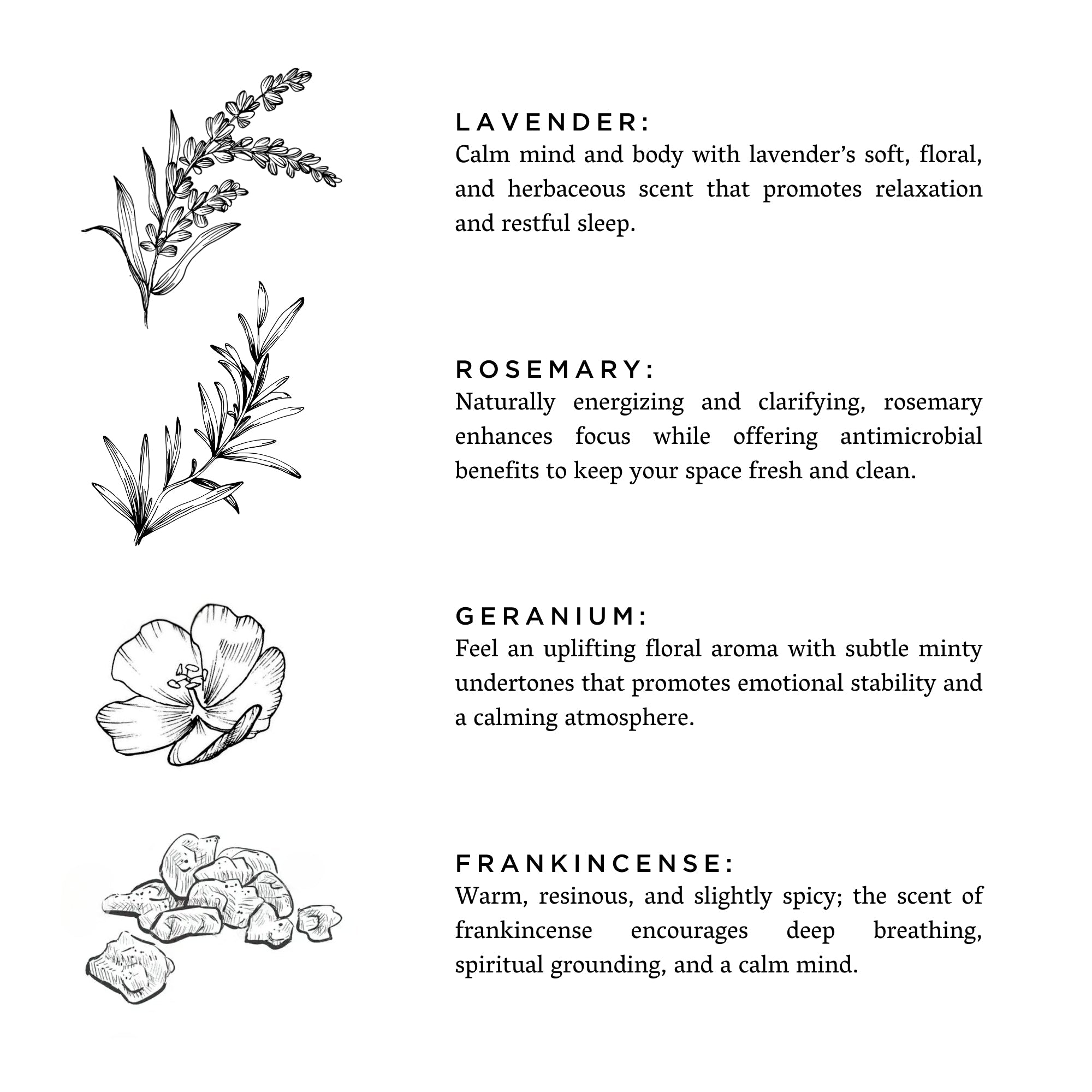 Midnight Garden - Reed Diffuser (Lavender + Rosemary + Geranium)